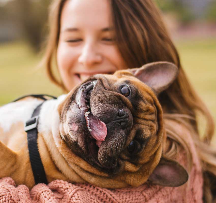 Dog Vaccinations