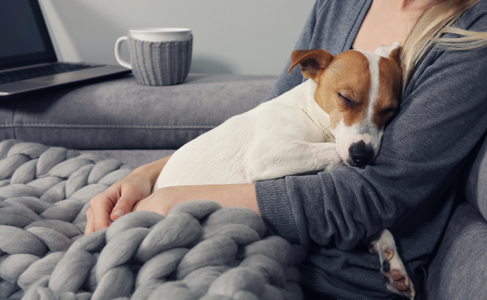 Woman watching a movie under a warm blanket while cuddling her pet at home