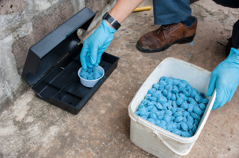 Rat poison bait box used in pest control, a serious toxin risk for dogs and cats