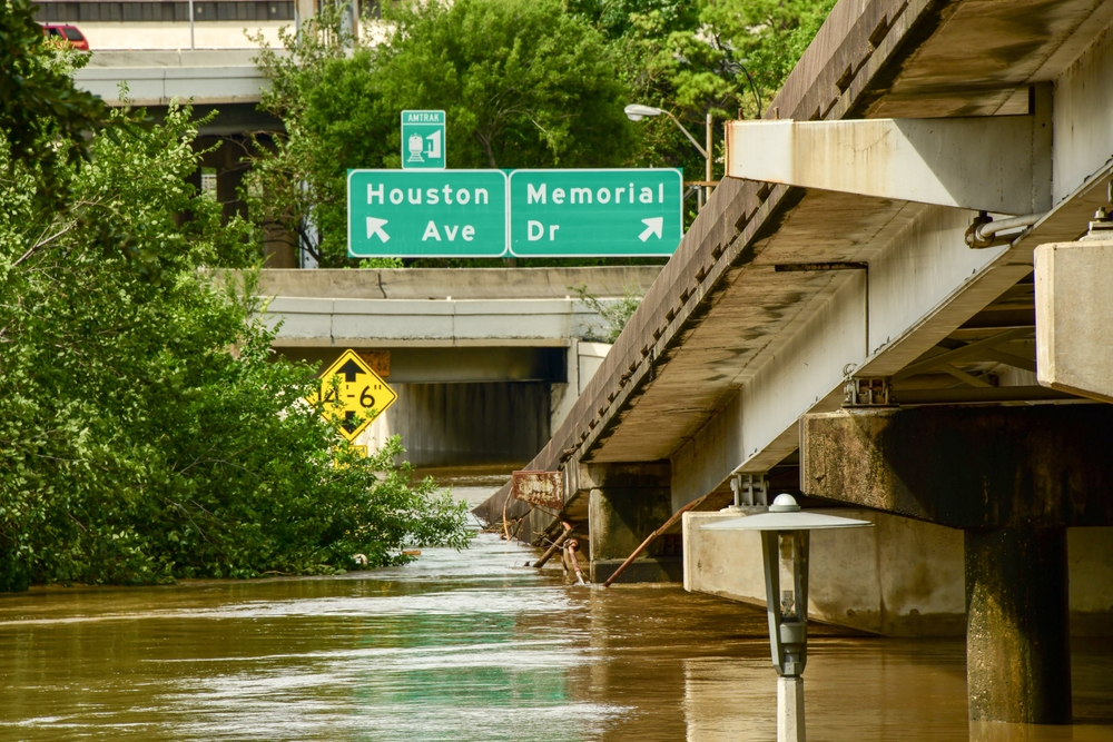 Buffalo Bayou Park in Houston flooded after Hurricane Beryl, natural disaster planning for pets