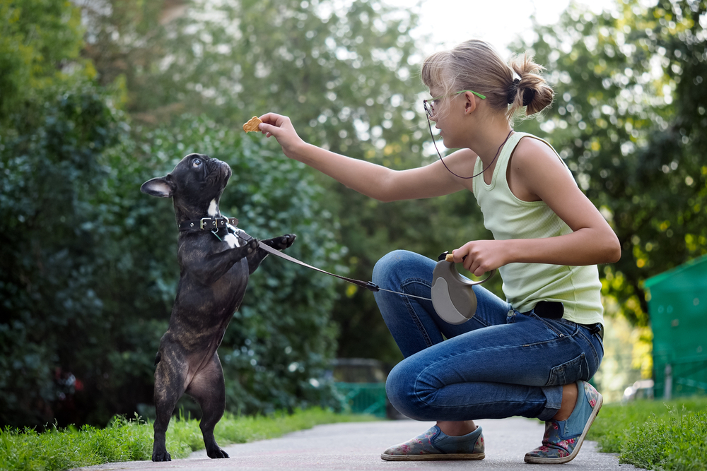 Girl training a puppy with positive reinforcement.